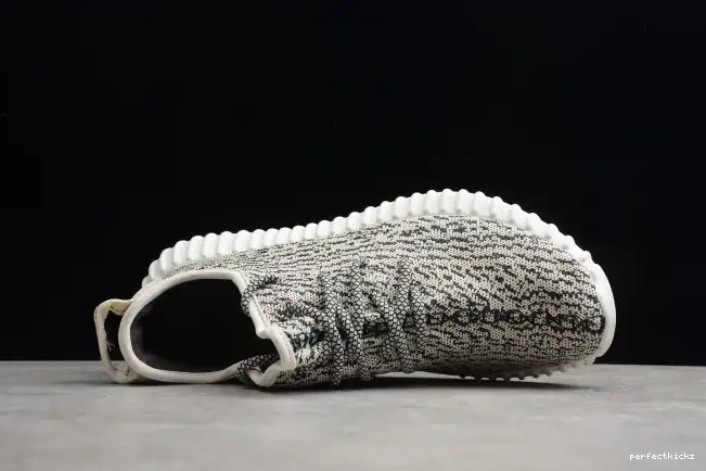 YEEZY Dove Boost 350 AQ4832 Adidas Turtle 0701